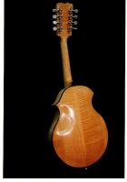 Arch-top Mandolin